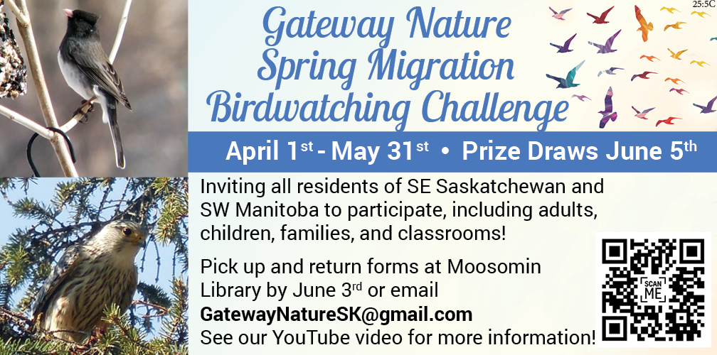 Gateway Nature Spring Magration Birdwatching Challenge
